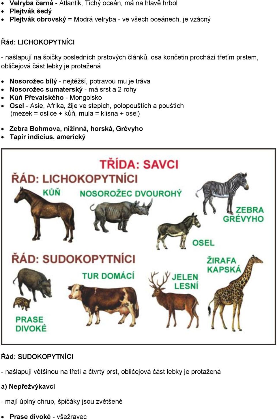 rohy Kůň Převalského - Mongolsko Osel - Asie, Afrika, ţije ve stepích, polopouštích a pouštích (mezek = oslice + kůň, mula = klisna + osel) Zebra Bohmova, níţinná, horská, Grévyho Tapír