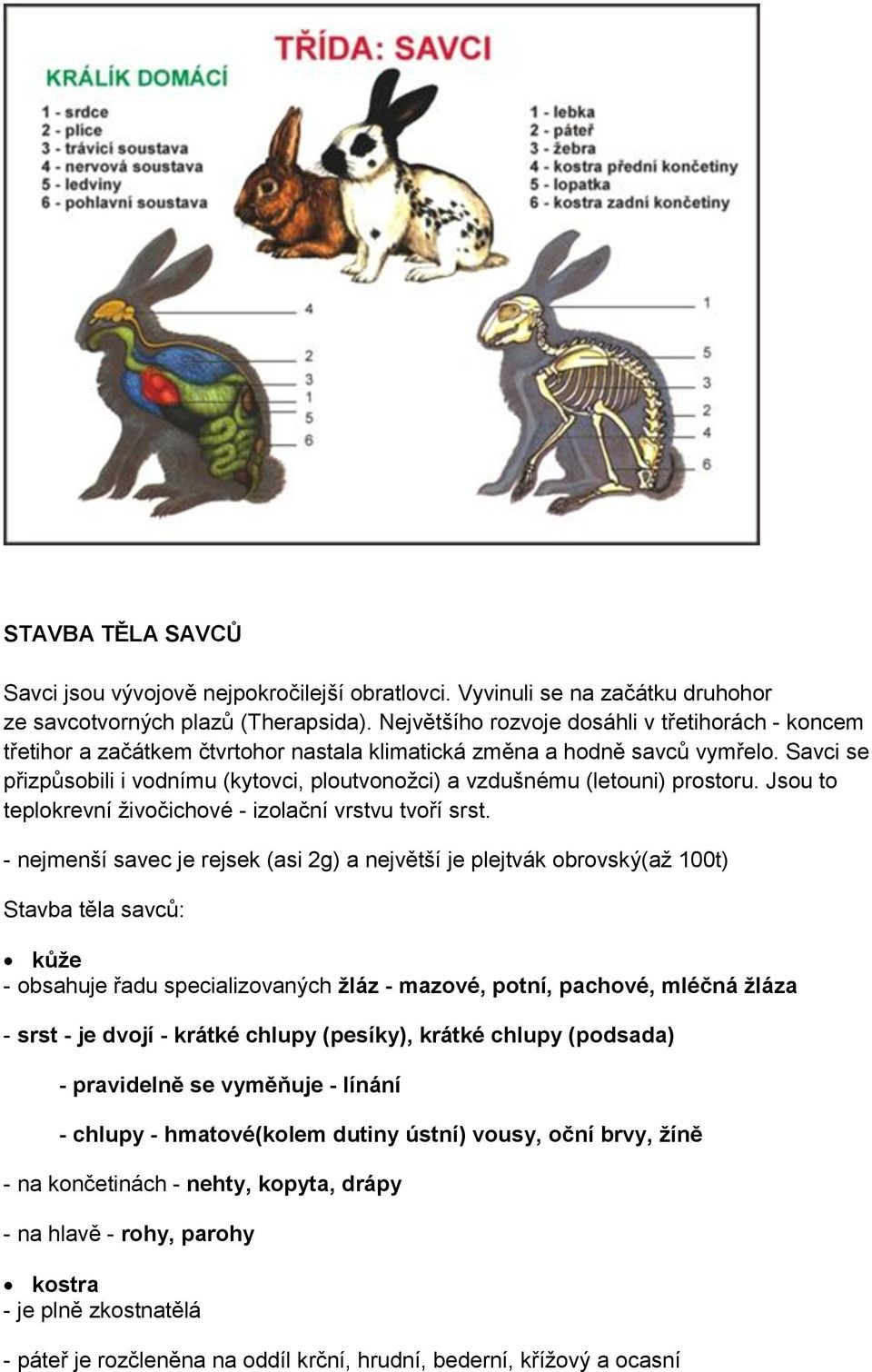 Savci se přizpůsobili i vodnímu (kytovci, ploutvonoţci) a vzdušnému (letouni) prostoru. Jsou to teplokrevní ţivočichové - izolační vrstvu tvoří srst.