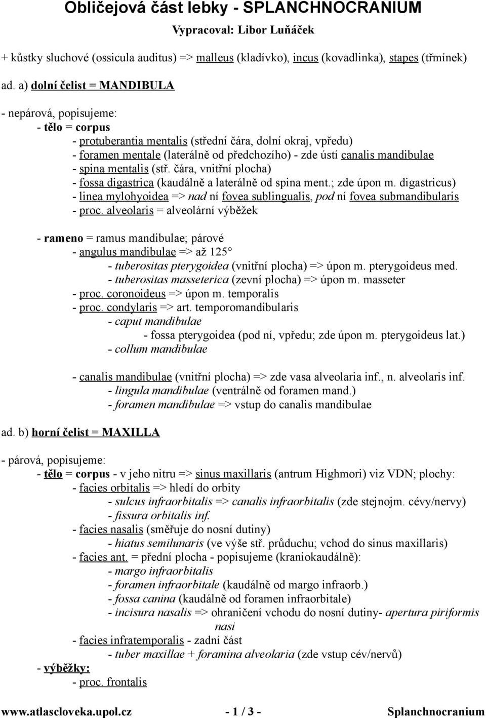 mandibulae - spina mentalis (stř. čára, vnitřní plocha) - fossa digastrica (kaudálně a laterálně od spina ment.; zde úpon m.