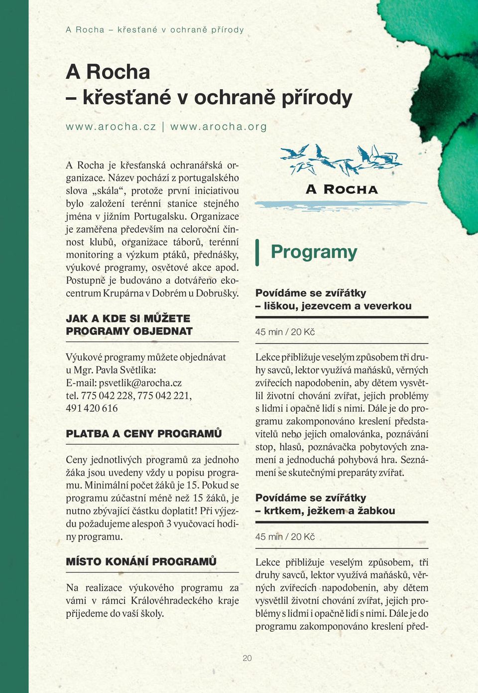 Organizace je zaměřena především na celoroční činnost klubů, organizace táborů, terénní monitoring a výzkum ptáků, přednášky, výukové programy, osvětové akce apod.