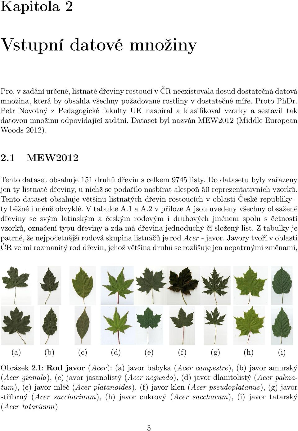 Rozpoznávání druhů dřevin rostoucích v České republice podle tvaru listu.  Ivana Váňová - PDF Free Download