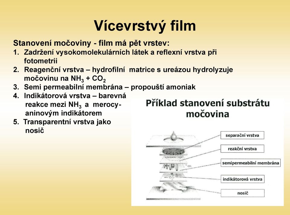 Reagenční vrstva hydrofilní matrice s ureázou hydrolyzuje močovinu na NH 3 + CO 2 3.