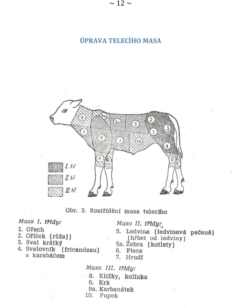 TELECÍHO