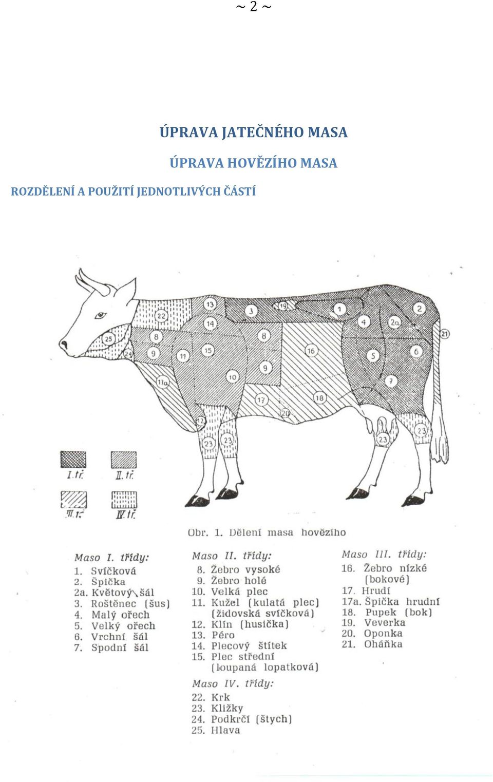 HOVĚZÍHO MASA