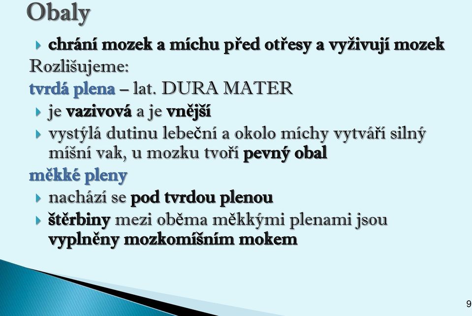 vytváří silný míšní vak, u mozku tvoří pevný obal měkké pleny nachází se pod