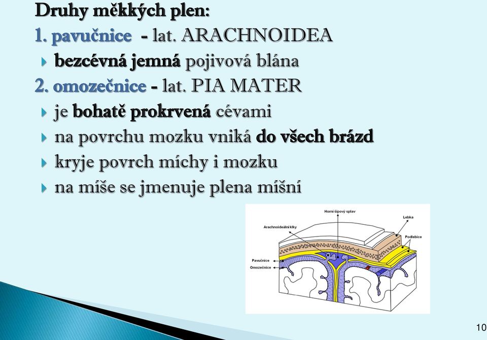 omozečnice - lat.