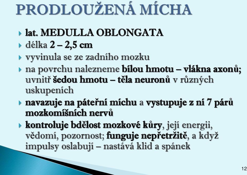 páteřní míchu a vystupuje z ní 7 párů mozkomíšních nervů kontroluje bdělost mozkové kůry,