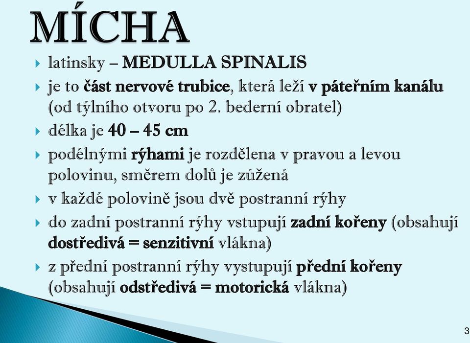 zúžená v každé polovině jsou dvě postranní rýhy do zadní postranní rýhy vstupují zadní kořeny (obsahují