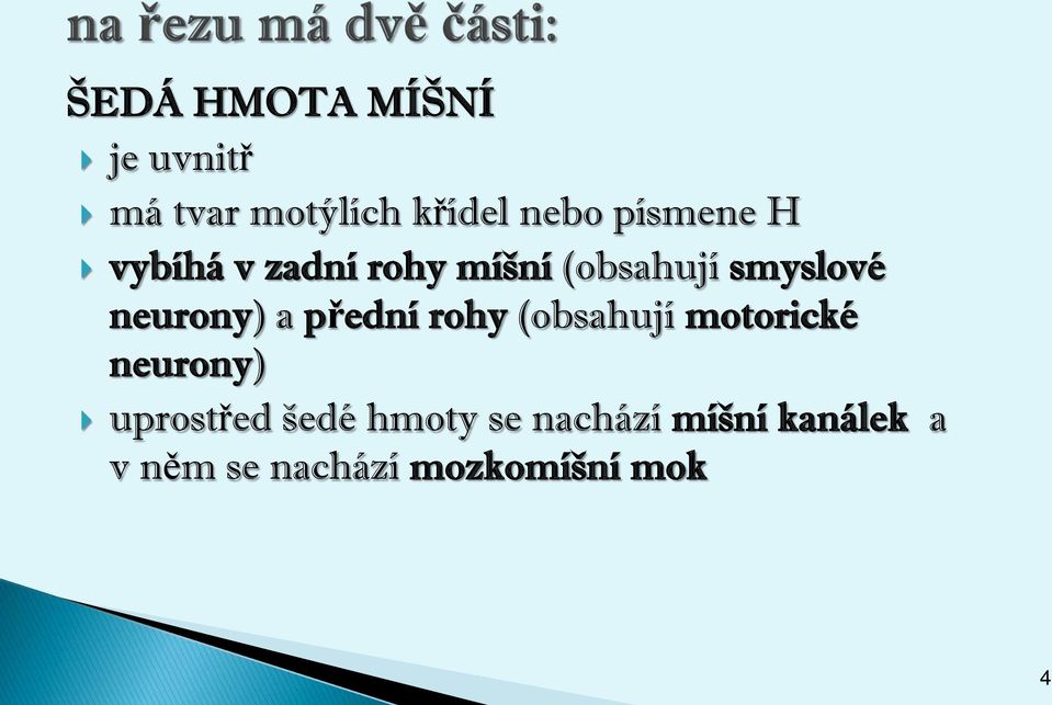 neurony) a přední rohy (obsahují motorické neurony)