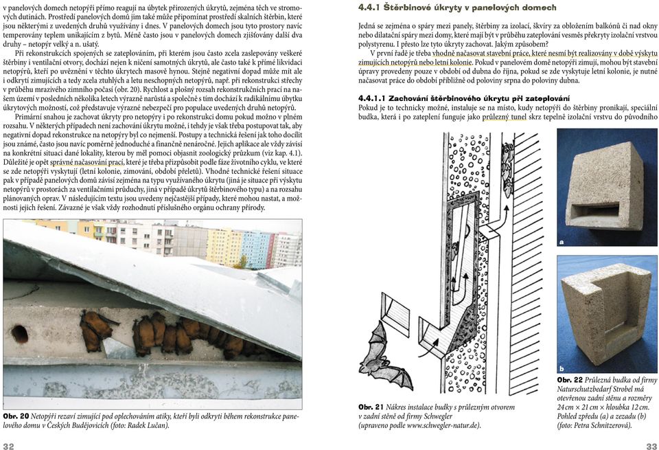 V panelových domech jsou tyto prostory navíc temperovány teplem unikajícím z bytů. Méně často jsou v panelových domech zjišťovány další dva druhy netopýr velký a n. ušatý.