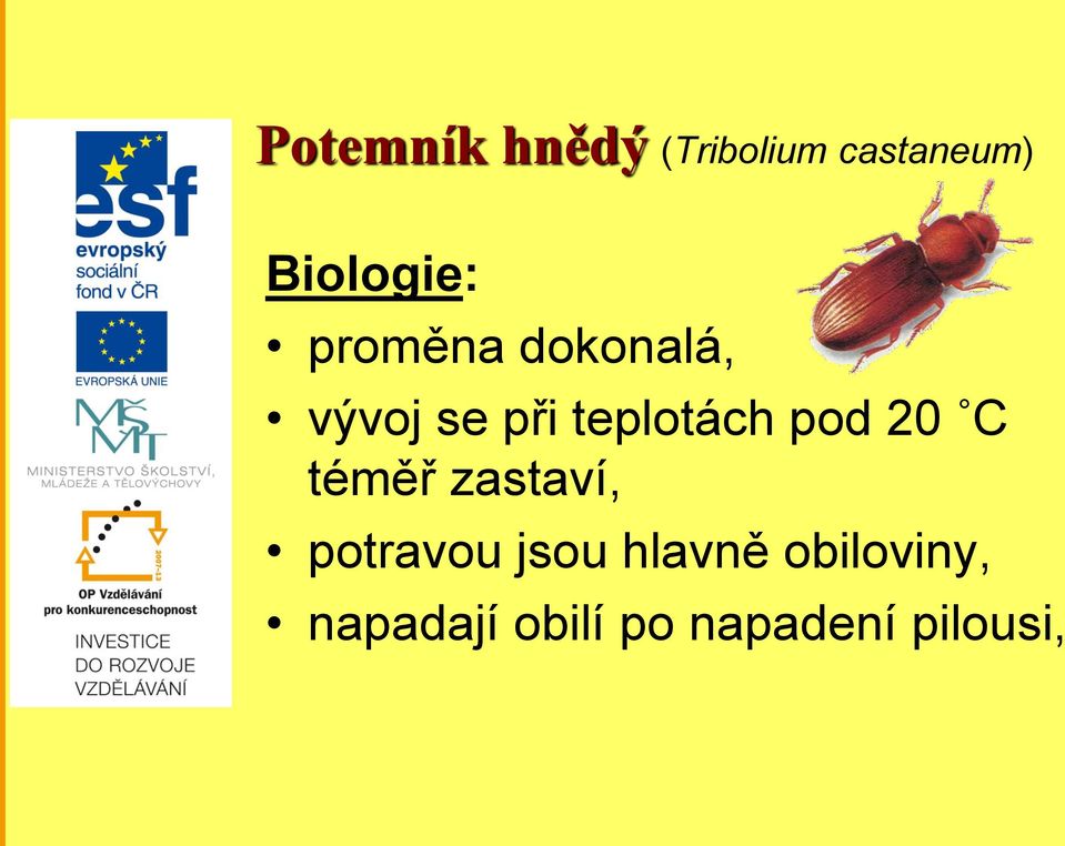 teplotách pod 20 C téměř zastaví, potravou