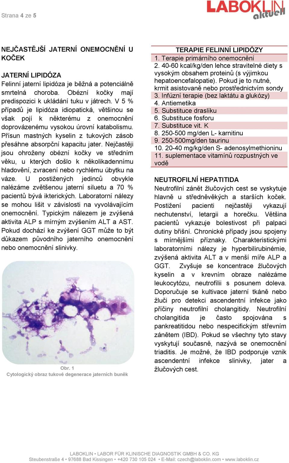 Přísun mastných kyselin z tukových zásob přesáhne absorpční kapacitu jater.