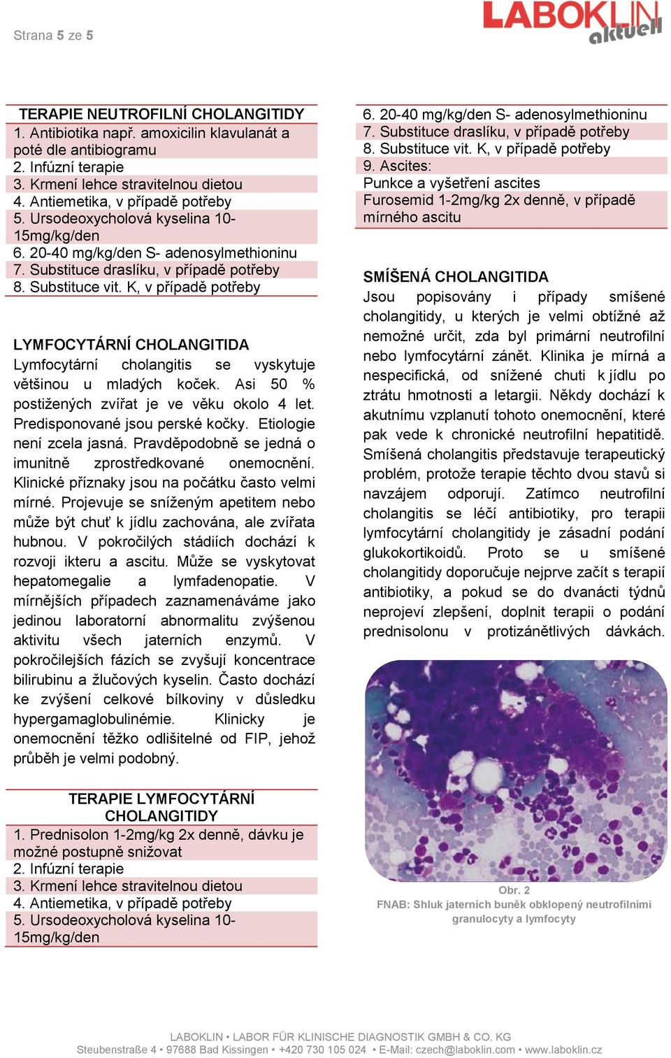 K, v případě potřeby LYMFOCYTÁRNÍ CHOLANGITIDA Lymfocytární cholangitis se vyskytuje většinou u mladých koček. Asi 50 % postižených zvířat je ve věku okolo 4 let. Predisponované jsou perské kočky.