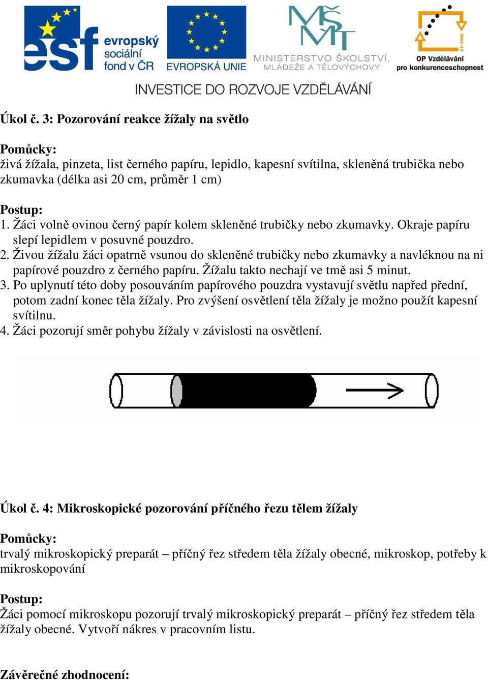 Živou žížalu žáci opatrně vsunou do skleněné trubičky nebo zkumavky a navléknou na ni papírové pouzdro z černého papíru. Žížalu takto nechají ve tmě asi 5 minut. 3.