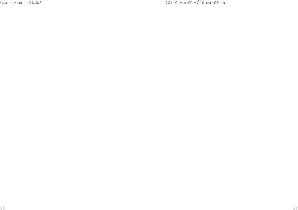 Obr. 4.