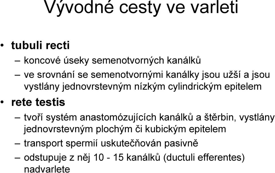 testis tvoří systém anastomózujících kanálků a štěrbin, vystlány jednovrstevným plochým či kubickým