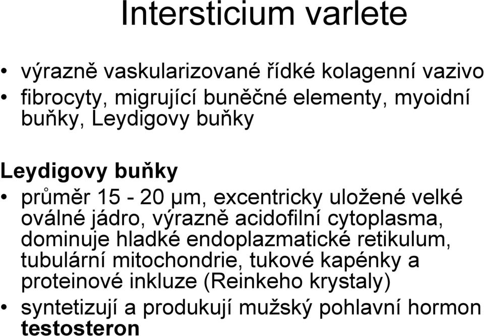 oválné jádro, výrazně acidofilní cytoplasma, dominuje hladké endoplazmatické retikulum, tubulární