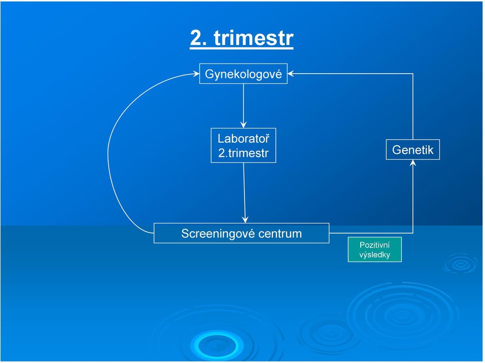 2.trimestr Genetik