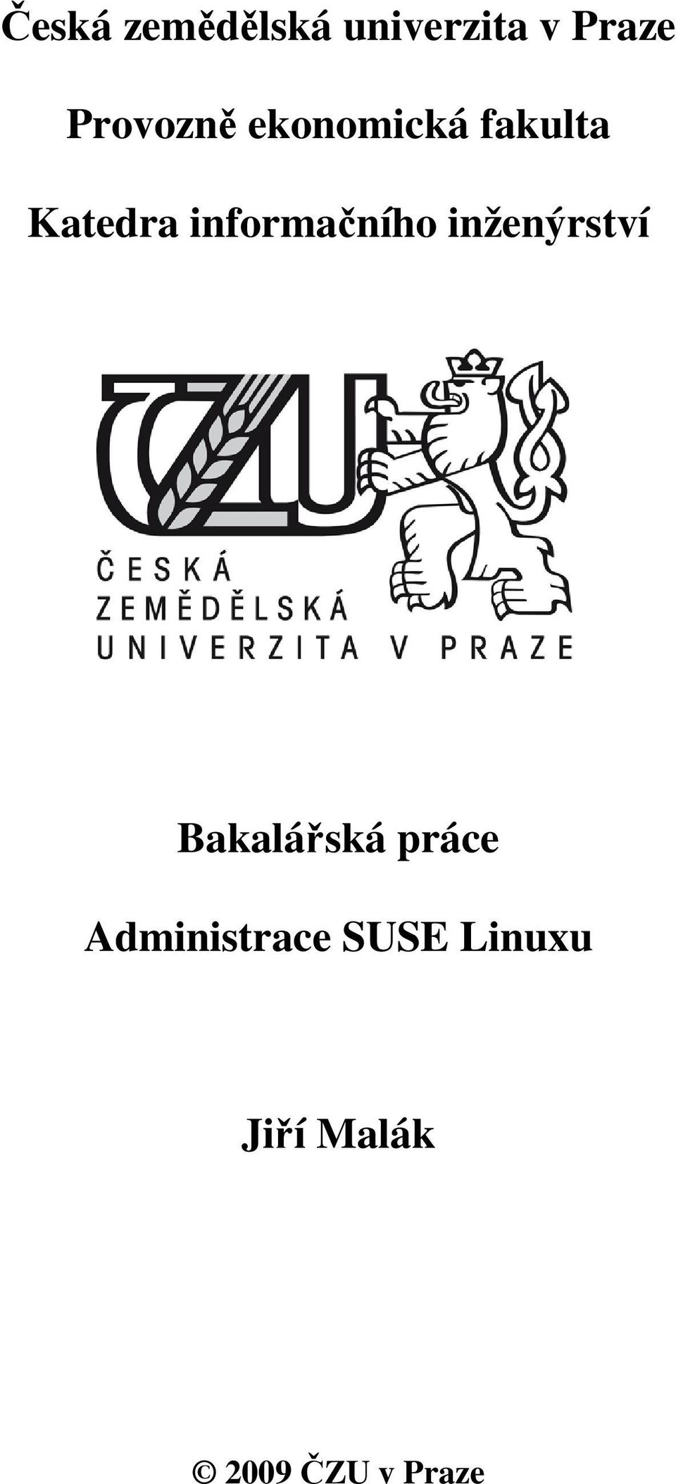 informačního inženýrství Bakalářská práce