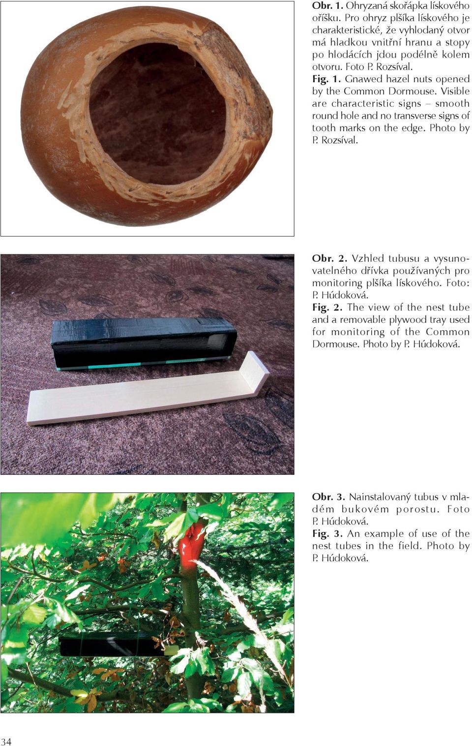 Vzhled tubusu a vysunovatelného dřívka používaných pro monitoring plšíka lískového. Foto: P. Húdoková. Fig. 2.