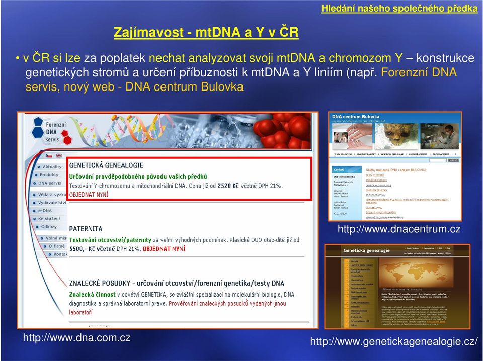 (např. Forenzní DNA servis, nový web - DNA centrum Bulovka http://www.