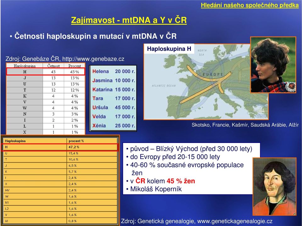cz Haploskupina H Skotsko, Francie, Kašmír, Saudská Arábie, Alžír původ