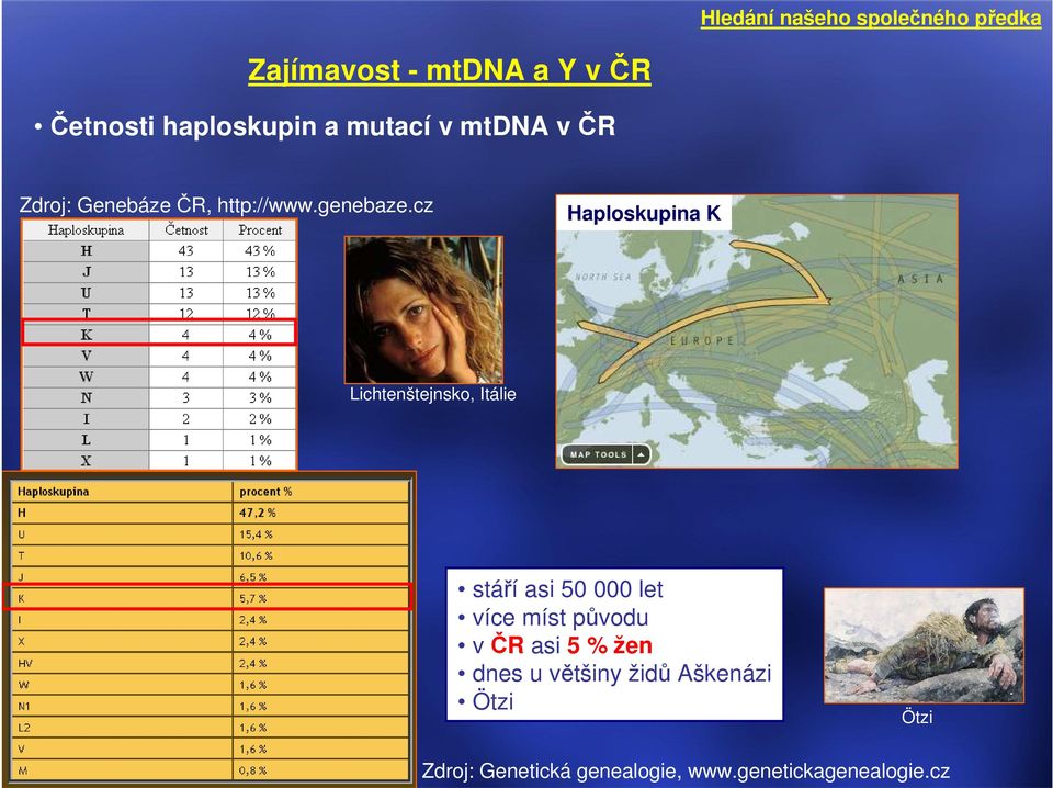 cz Haploskupina K Lichtenštejnsko, Itálie stáří asi 50