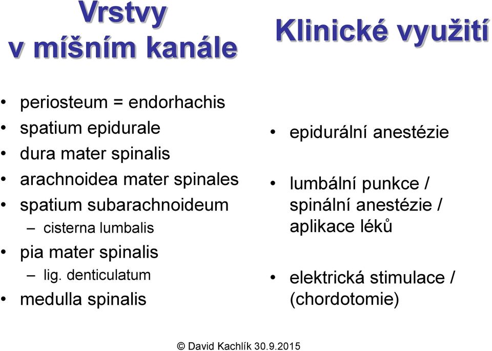 lumbalis pia mater spinalis lig.