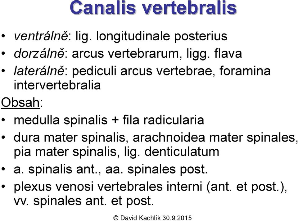 radicularia dura mater spinalis, arachnoidea mater spinales, pia mater spinalis, lig. denticulatum a.