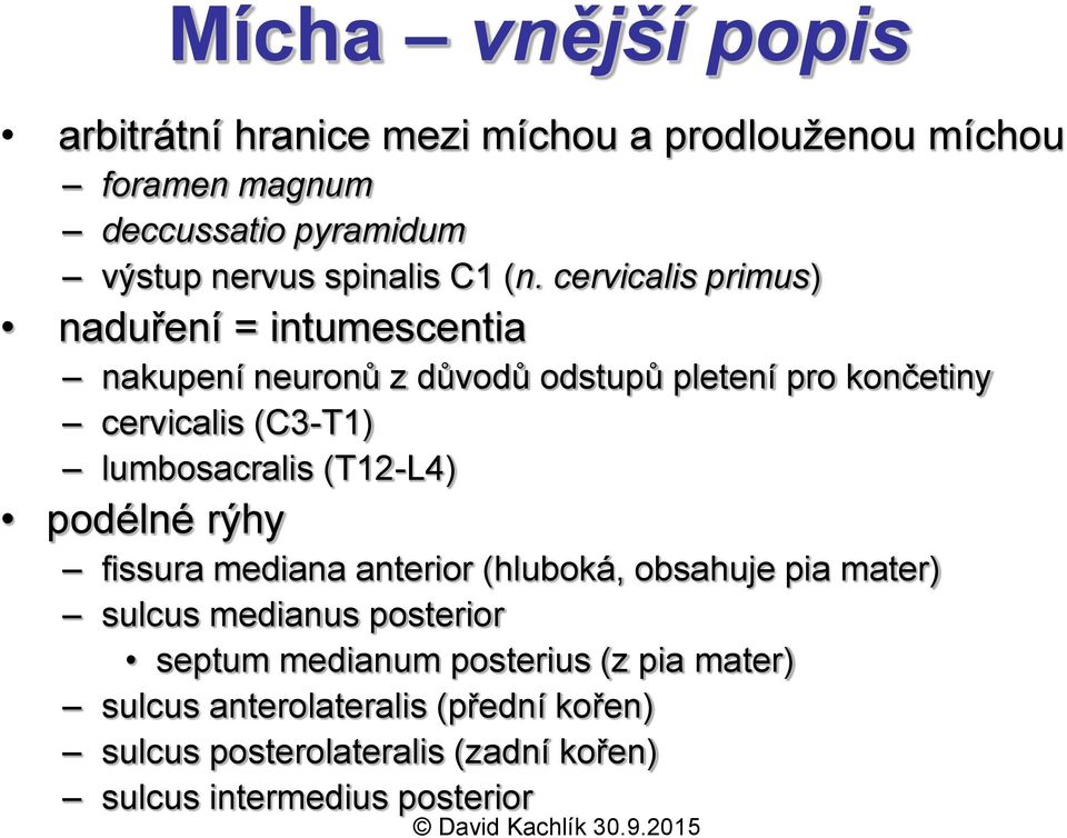 cervicalis primus) naduření = intumescentia nakupení neuronů z důvodů odstupů pletení pro končetiny cervicalis (C3-T1)