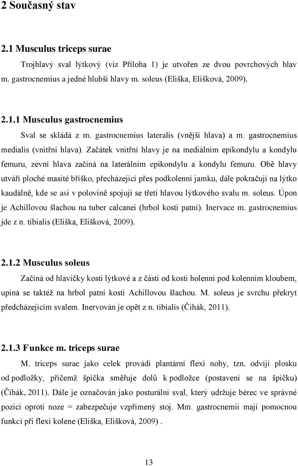 Začátek vnitřní hlavy je na mediálním epikondylu a kondylu femuru, zevní hlava začíná na laterálním epikondylu a kondylu femuru.