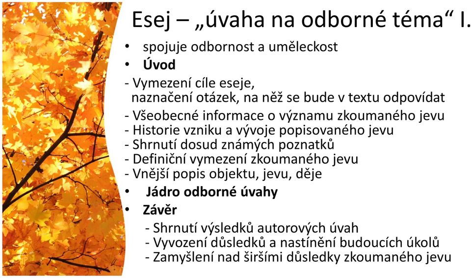 informace o významu zkoumaného jevu - Historie vzniku a vývoje popisovaného jevu - Shrnutí dosud známých poznatků -