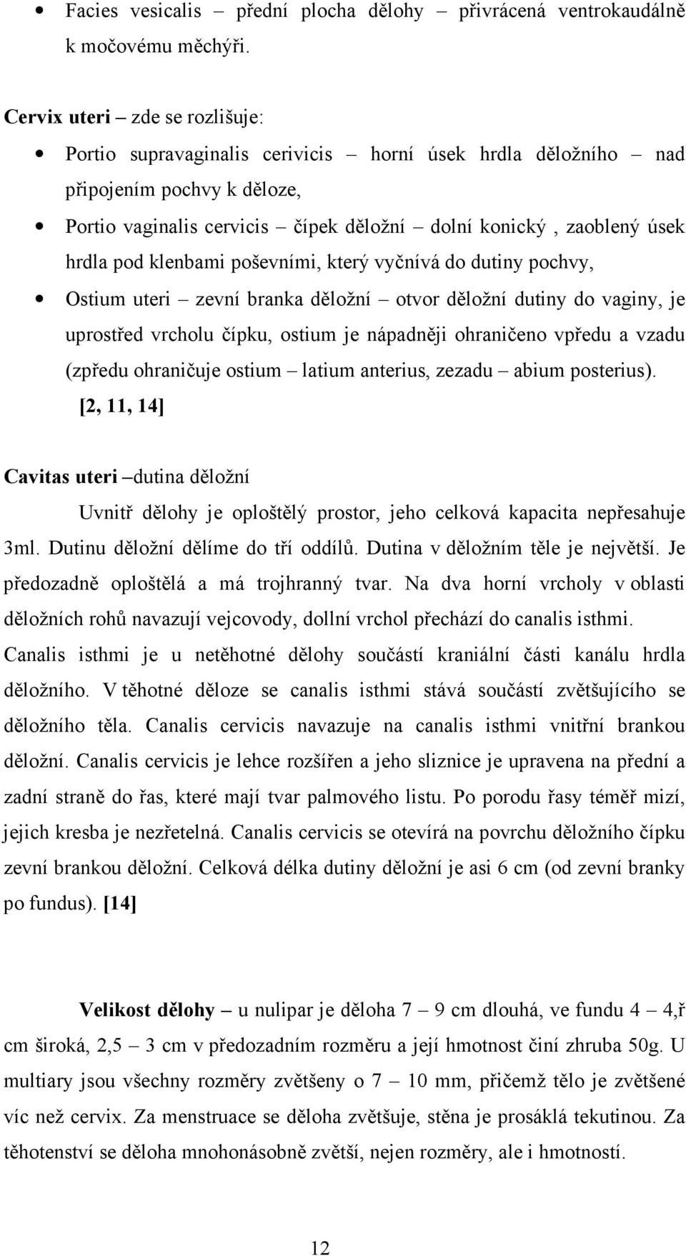 pod klenbami poševními, který vyčnívá do dutiny pochvy, Ostium uteri zevní branka děložní otvor děložní dutiny do vaginy, je uprostřed vrcholu čípku, ostium je nápadněji ohraničeno vpředu a vzadu