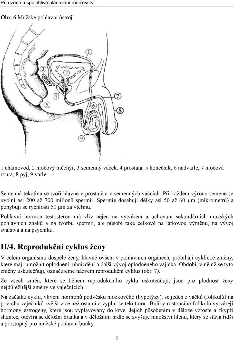 Pohlavní hormon testosteron má vliv nejen na vytváření a uchování sekundárních mužských pohlavních znaků a na tvorbu spermií, ale působí také celkově na látkovou výměnu, na vývoj svalstva a na