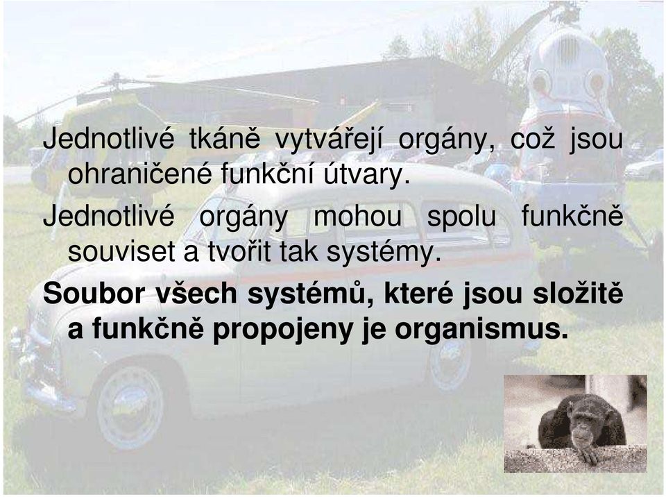 Jednotlivé orgány mohou spolu funkčně souviset a