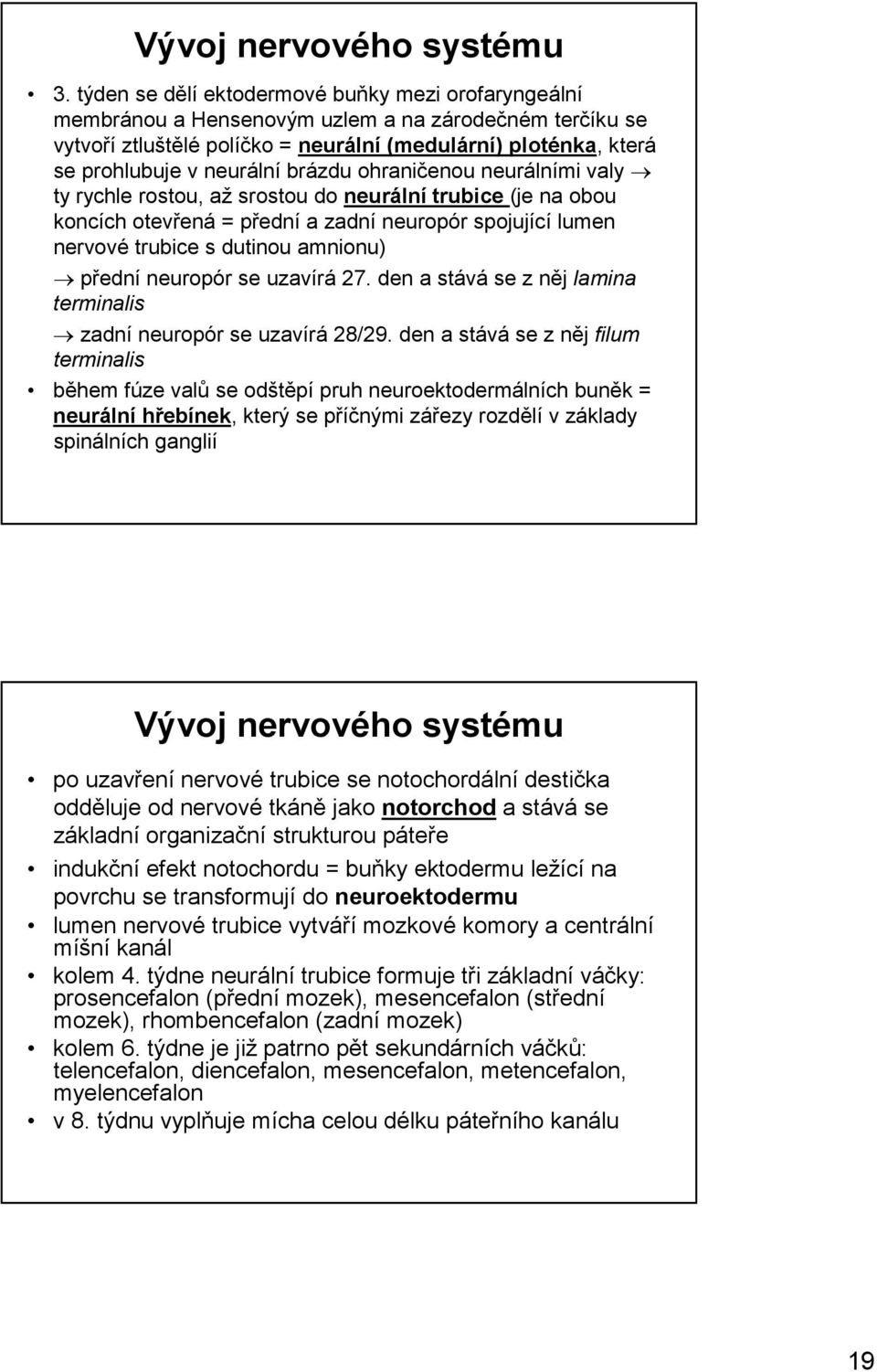 brázdu ohraničenou neurálními valy ty rychle rostou, až srostou do neurální trubice (je na obou koncích otevřená = přední a zadní neuropór spojující lumen nervové trubice s dutinou amnionu) přední