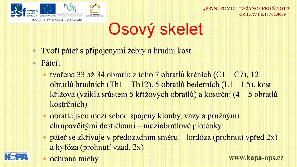 (L1 L5), kost křížová (vzikla srůstem 5 křížových obratlů) a kostrční (4 5 obratlů kostrčních) obratle jsou mezi sebou