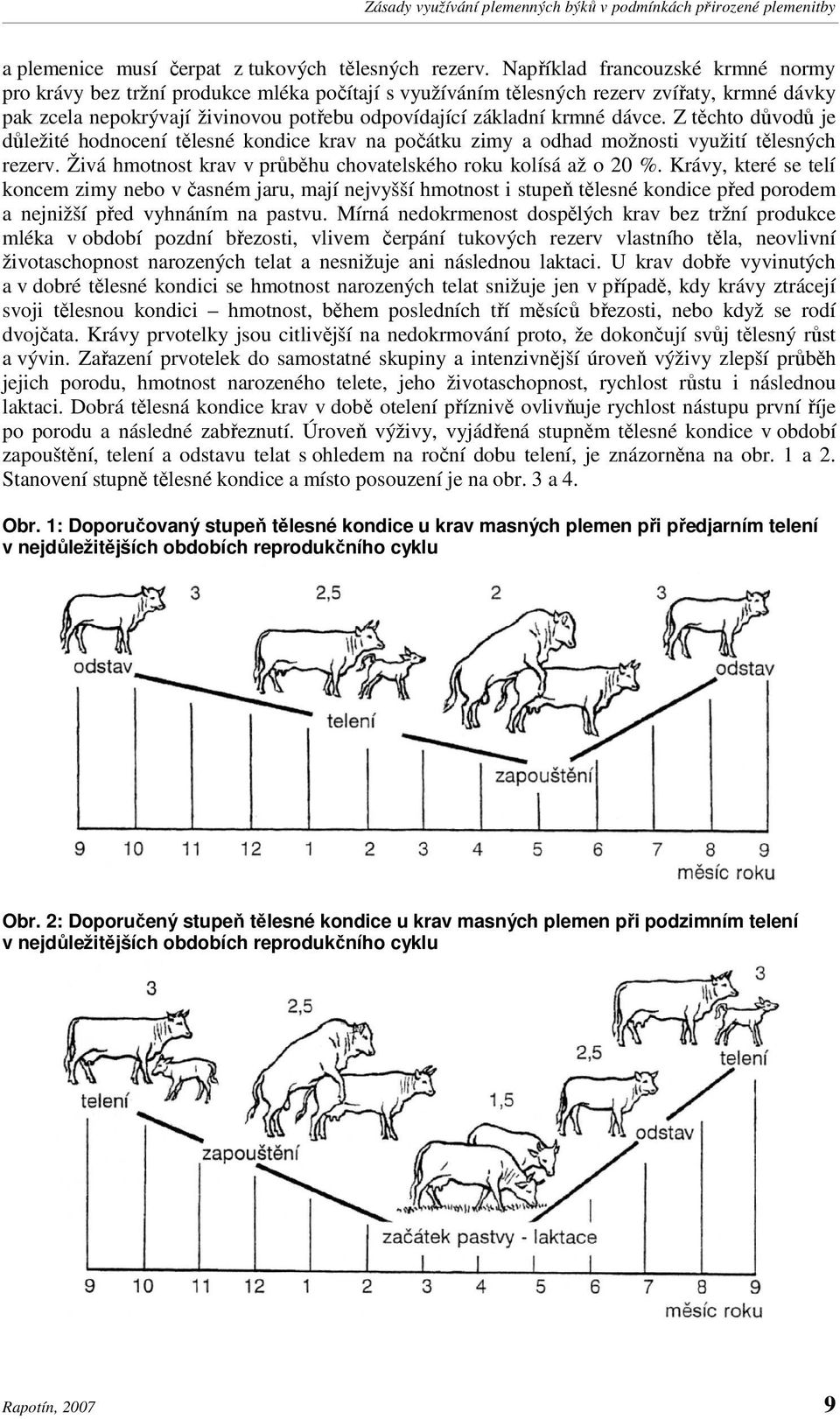 dávce. Z těchto důvodů je důležité hodnocení tělesné kondice krav na počátku zimy a odhad možnosti využití tělesných rezerv. Živá hmotnost krav v průběhu chovatelského roku kolísá až o 20 %.