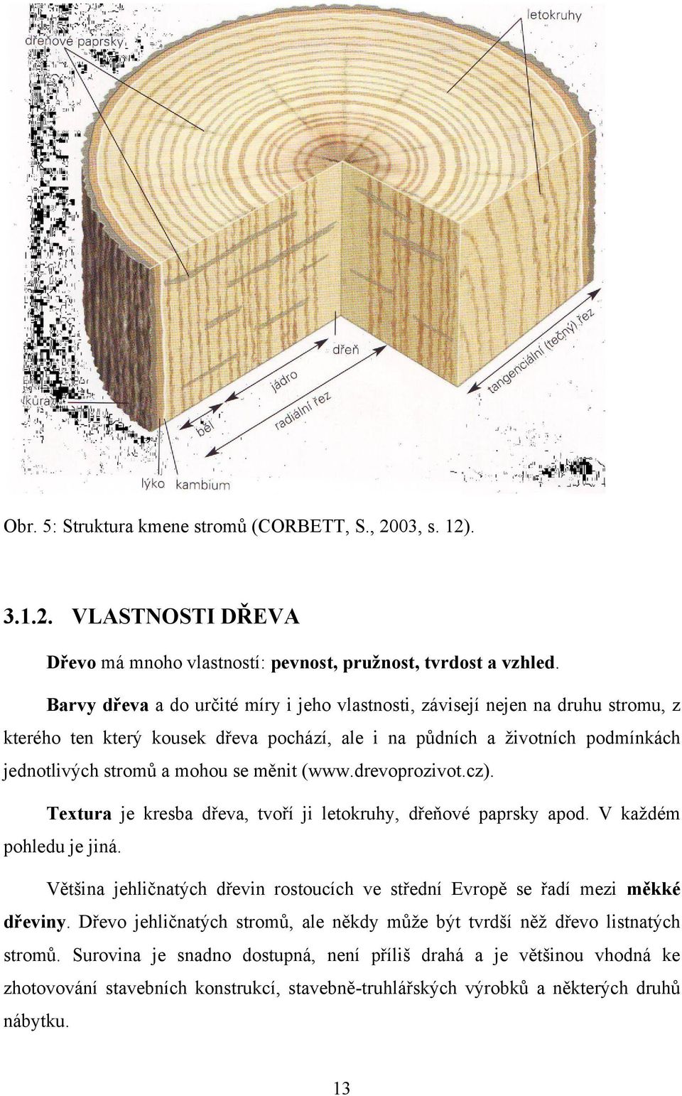 (www.drevoprozivot.cz). Textura je kresba dřeva, tvoří ji letokruhy, dřeňové paprsky apod. V kaţdém pohledu je jiná.