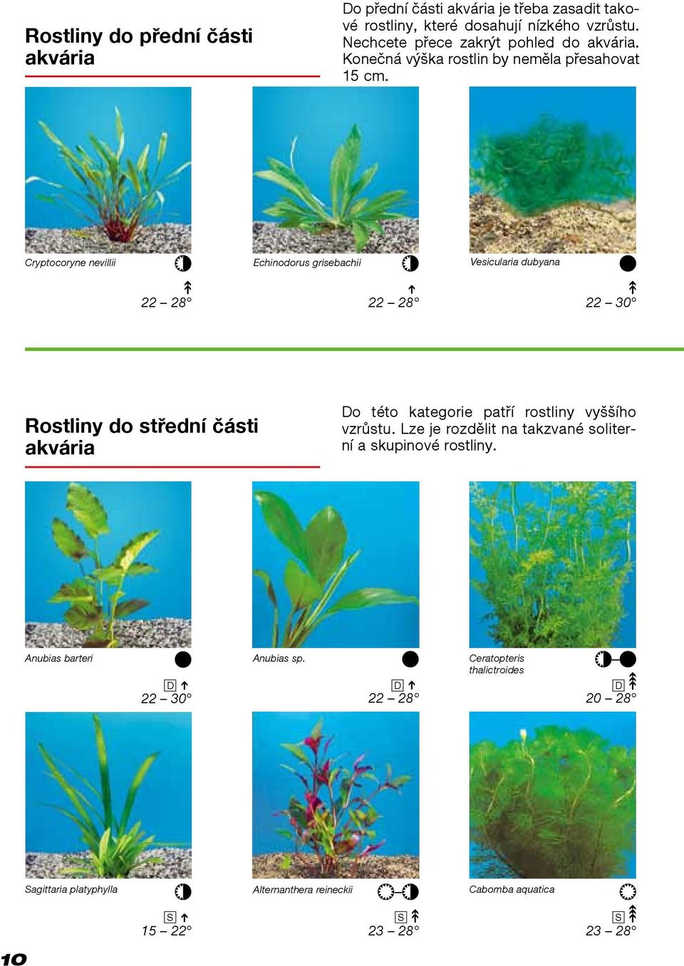 Cryptocoryne nevillii Echinodorus grisebachii Vesicularia dubyana 22 28 22 28 22 30 Rostliny do střední části akvária Do této kategorie patří rostliny