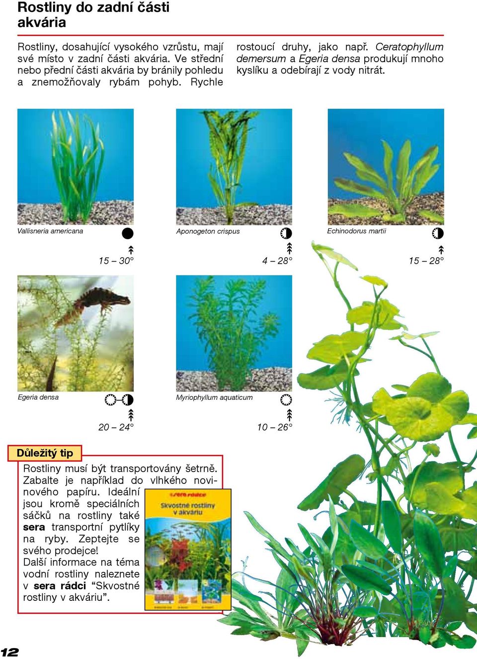 Ceratophyllum demersum a Egeria densa produkují mnoho kyslíku a odebírají z vody nitrát.