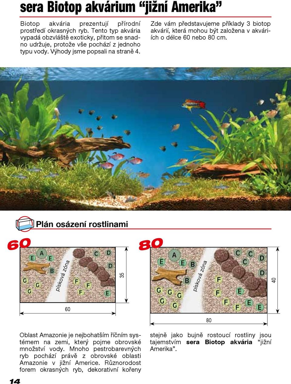 Zde vám představujeme příklady 3 biotop akvárií, která mohou být založena v akváriích o délce 60 nebo 80 cm.
