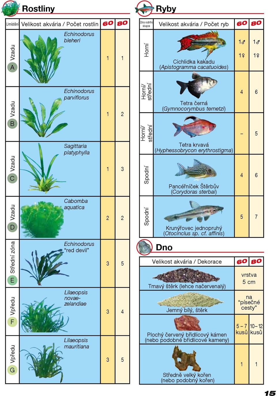 Vzadu C Vzadu D Cabomba aquatica 1 3 2 2 Spodní Spodní Pancéřníček Štěrbův (Corydoras sterbai) Krunýřovec jednopruhý (Otocinclus sp. cf.