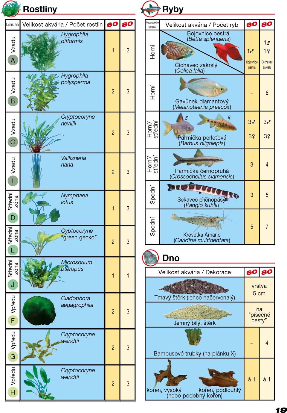 střední Parmička perleťová (Barbus oligolepis) 3 3 3 3 Vzadu I Vallisneria nana 2 3 Horní/ střední Parmička černopruhá (Crossocheilus siamensis) 3 4 Střední zóna D Střední zóna E Střední zóna J