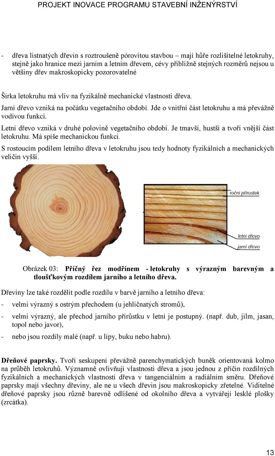 Jde o vnitřní část letokruhu a má převážně vodivou funkci. Letní dřevo vzniká v druhé polovině vegetačního období. Je tmavší, hustší a tvoří vnější část letokruhu. Má spíše mechanickou funkci.