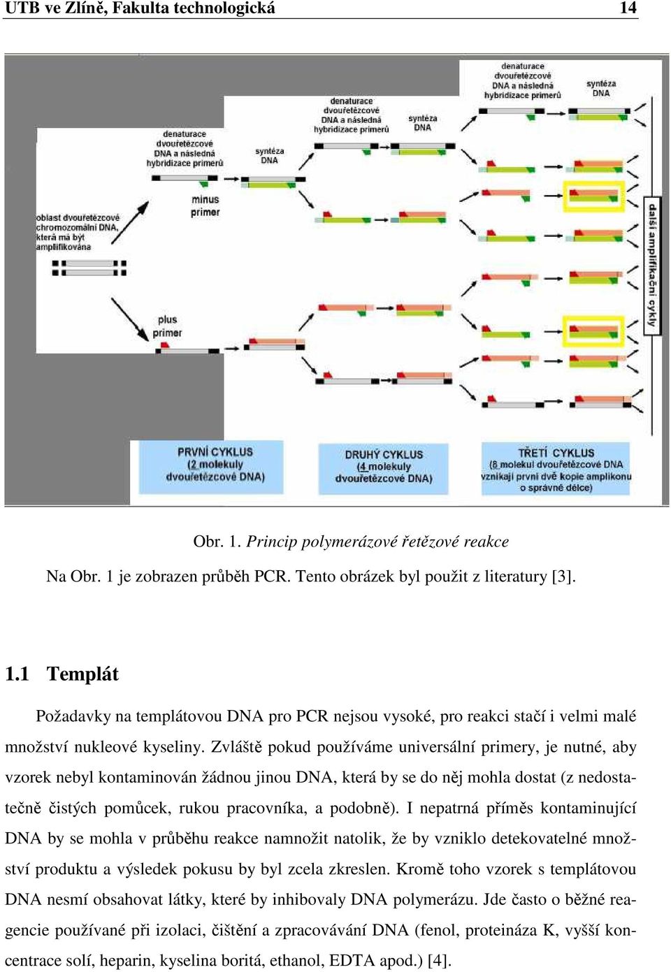 I nepatrná příměs kontaminující DNA by se mohla v průběhu reakce namnožit natolik, že by vzniklo detekovatelné množství produktu a výsledek pokusu by byl zcela zkreslen.