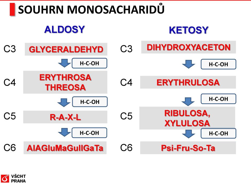 ERYTHRULSA H-C- H-C- C5 R-A-X-L H-C- C5 RIBULSA,