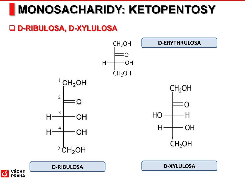 D-RIBULSA,