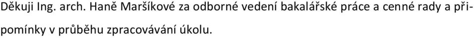 vedení bakalářské práce a
