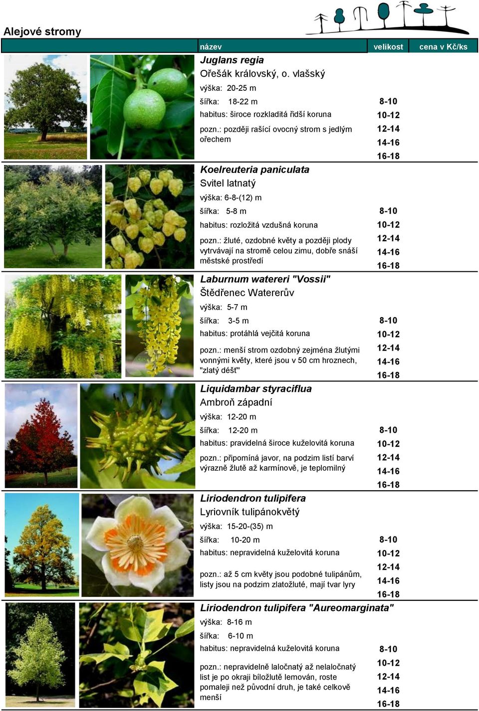 : žluté, ozdobné květy a později plody vytrvávají na stromě celou zimu, dobře snáší městské prostředí Laburnum watereri "Vossii" Štědřenec Watererův výška: 5-7 m 3-5 m 8-10 habitus: protáhlá vejčitá